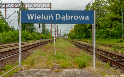 Stacja Wieluń Dąbrowa