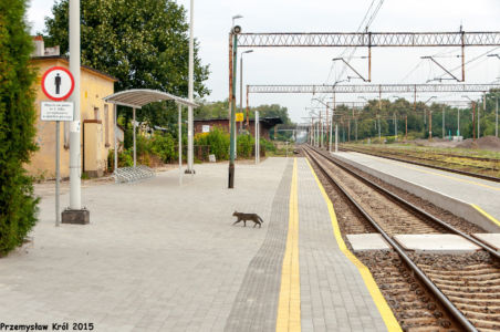 Stacja Olesno Śląskie