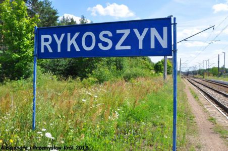 Stacja Rykoszyn