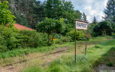 Stacja Paproć