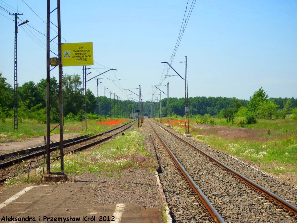 Stacja Domaniewice
