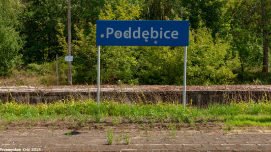 Stacja Poddębice