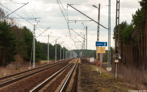 Przystanek Siedlce Łaskie