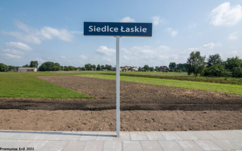 Przystanek Siedlce Łaskie