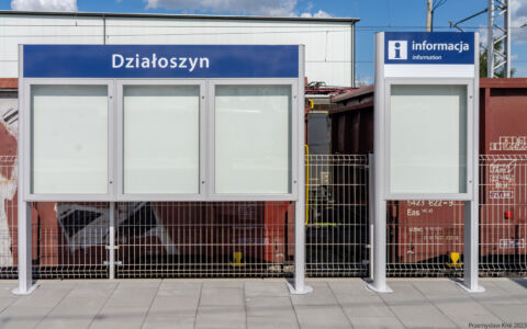 Stacja Działoszyn