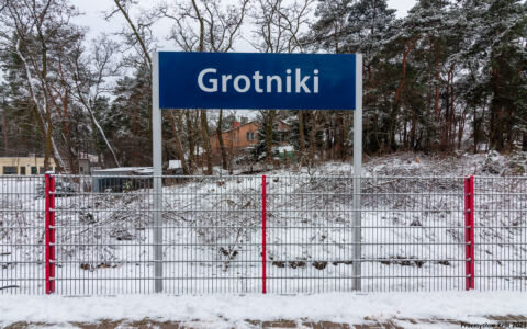 Przystanek Grotniki