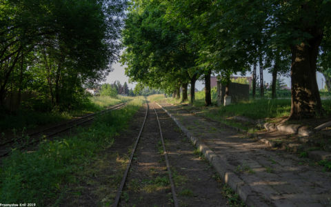 Dawna stacja Ozorków Wąskotorowy