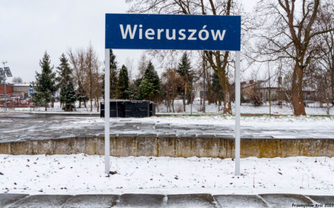 Stacja Wieruszów