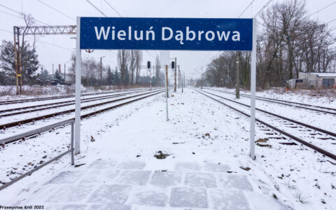 Stacja Wieluń Dąbrowa