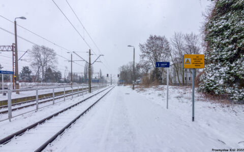 Stacja Wieluń Dąbrowa