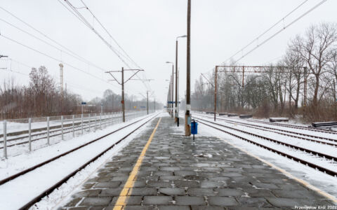 Stacja Wieluń Dąbrowa