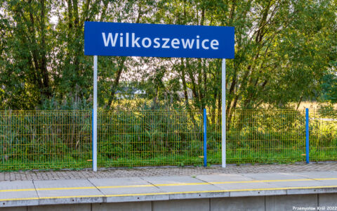 Przystanek Wilkoszewice