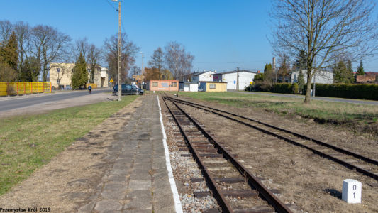 Stacja | Rogów Osobowy Wąskotorowy