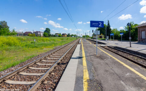 Stacja Domaniewice