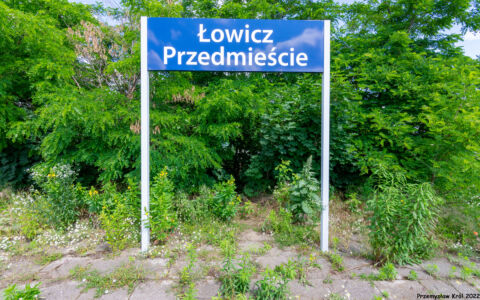 Stacja Łowicz Przedmieście