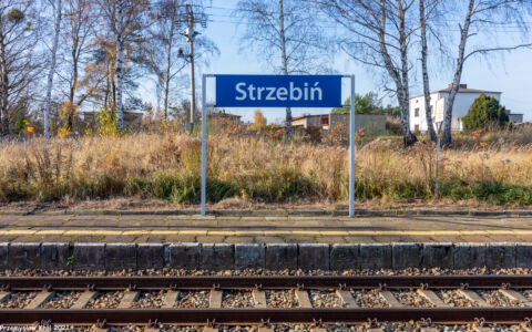 Stacja Strzebiń