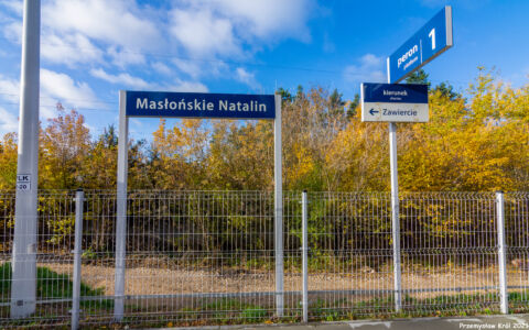 Przystanek Masłońskie Natalin