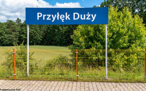 Przystanek Przyłęk Duży