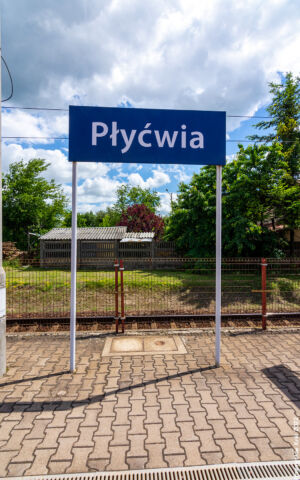 Stacja Płyćwia