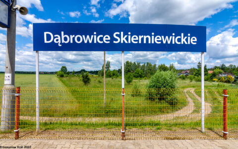 Przystanek Dąbrowice Skierniewickie