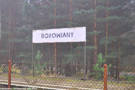 Przystanek Borowiany