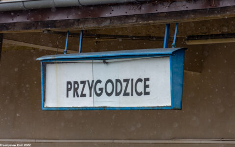 Stacja Przygodzice