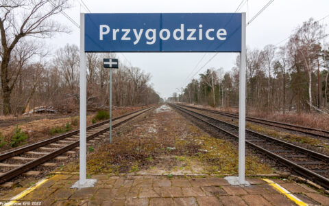 Stacja Przygodzice