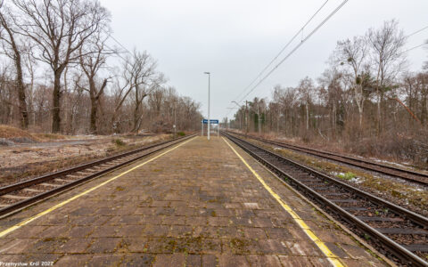 Stacja Przygodzice
