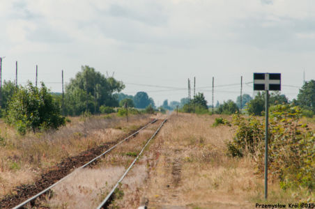 Stacja Proboszczewice Płockie