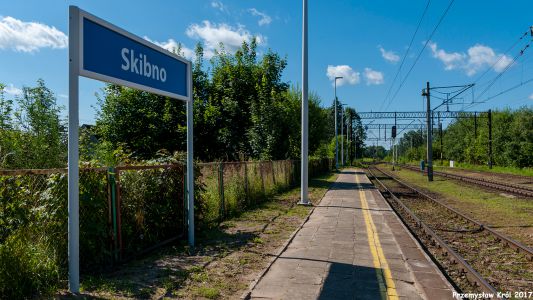 Stacja Skibno