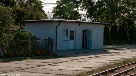 Stacja Gąsawa