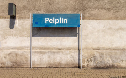 Stacja Pelplin