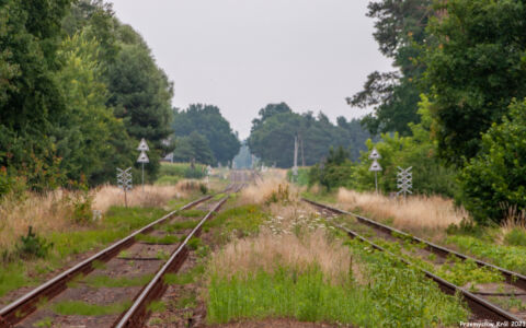 Przystanek Dzierżanów Wielkopolski