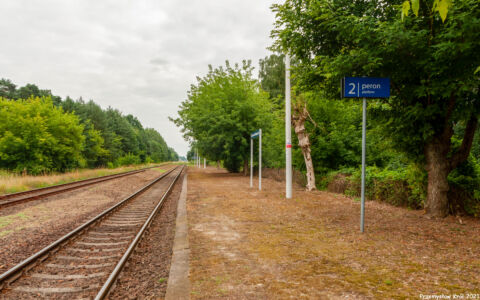 Przystanek Dzierżanów Wielkopolski