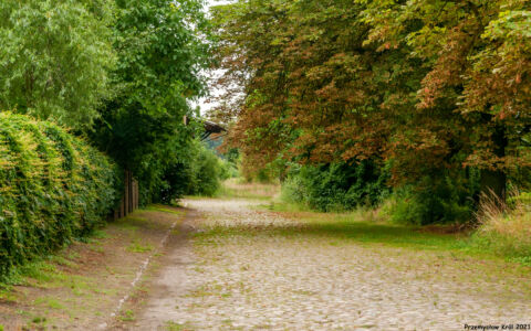 Przystanek Belęcin Wielkopolski