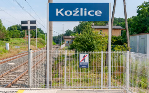 Stacja Koźlice
