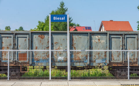 Stacja Biesal