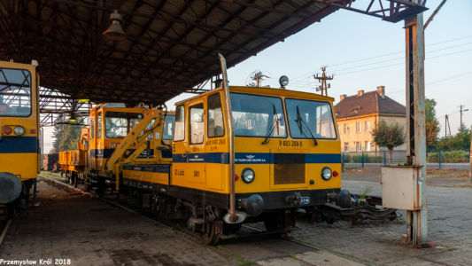WŻA-10 L 841 | Stacja Zduńska Wola Karsznice