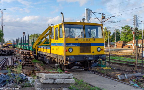 WŻA-10L Nr 841 | Stacja Zduńska Wola Karsznice