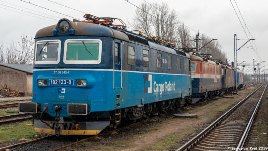 182 123-0 | Stacja Zduńska Wola Karsznice