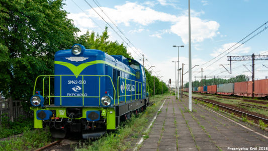 SM42-590 | Stacja Zduńska Wola Karsznice Południowe