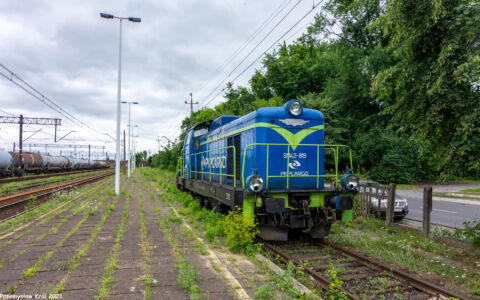 SM42-819 | Stacja Zduńska Wola Karsznice Południowe