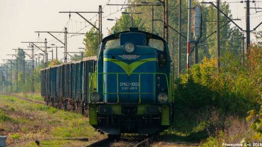 SM42-1003 | Stacja Piotrków Trybunalski Towarowy