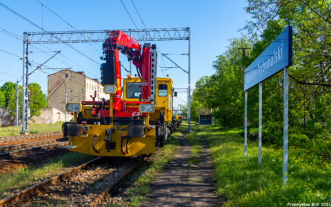 DH-350.11 Nr 20 | Stacja Piotrków Trybunalski