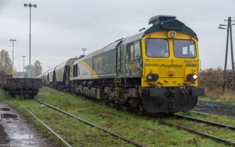 Class66-66001 | Stacja Piotrków Trybunalski Towarowy