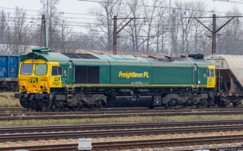 Class66-66003 | Stacja Piotrków Trybunalski Towarowy