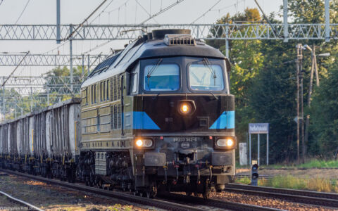 BR233 562-8 | Stacja Piotrków Trybunalski Towarowy