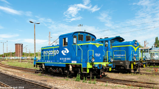 SM30-228 | Lokomotywownia Łódź Olechów Zakład Centralny PKP Cargo