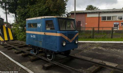 Dm-308 | Skansen Parowozów w Gryficach